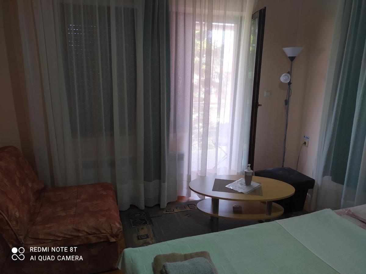 Apartment & Rooms Aleksandar Golubac Luaran gambar